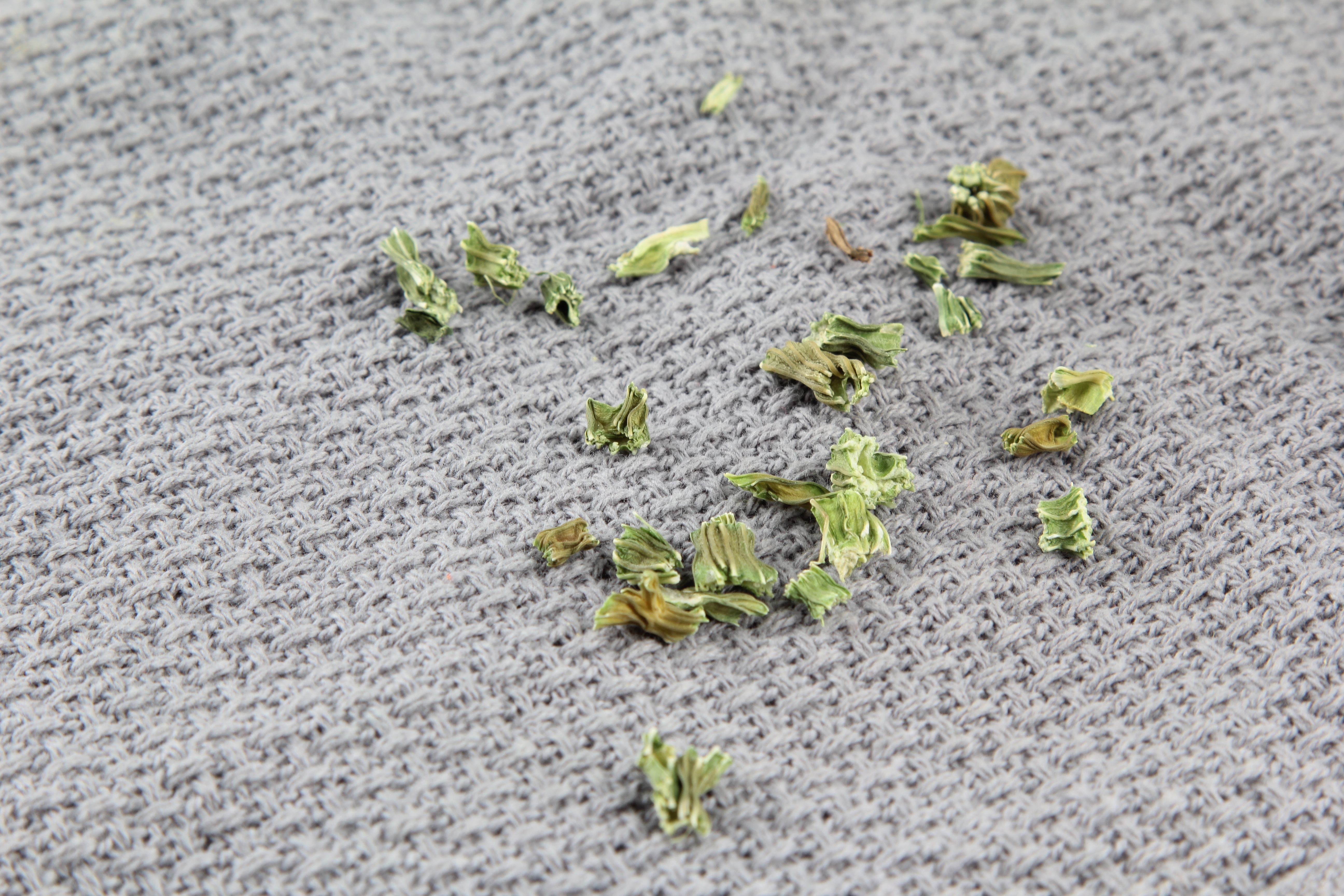 脱水芹菜茎
