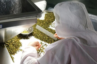 聯(lián)富食品挑選車(chē)間