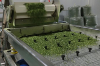 聯(lián)富食品生產(chǎn)車(chē)間