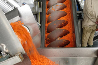 聯(lián)富食品生產(chǎn)車(chē)間