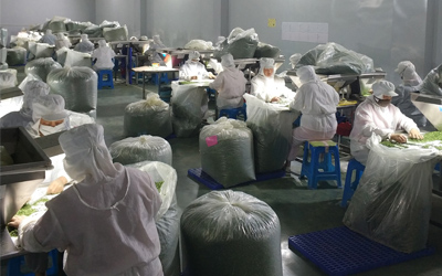 脱水蔬菜好吃有营养为尝鲜市民纷纷买账
